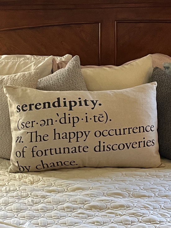Pottery Barn Other - Pottery Barn Cream Accent Pillow with Black Text “Serendipity……”
